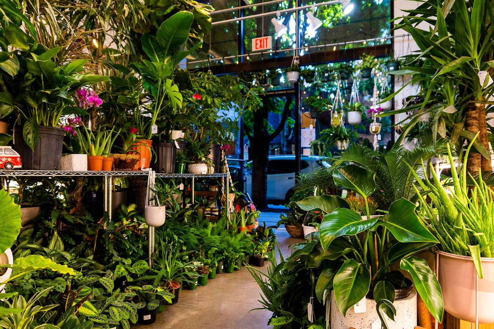 Talise Garden