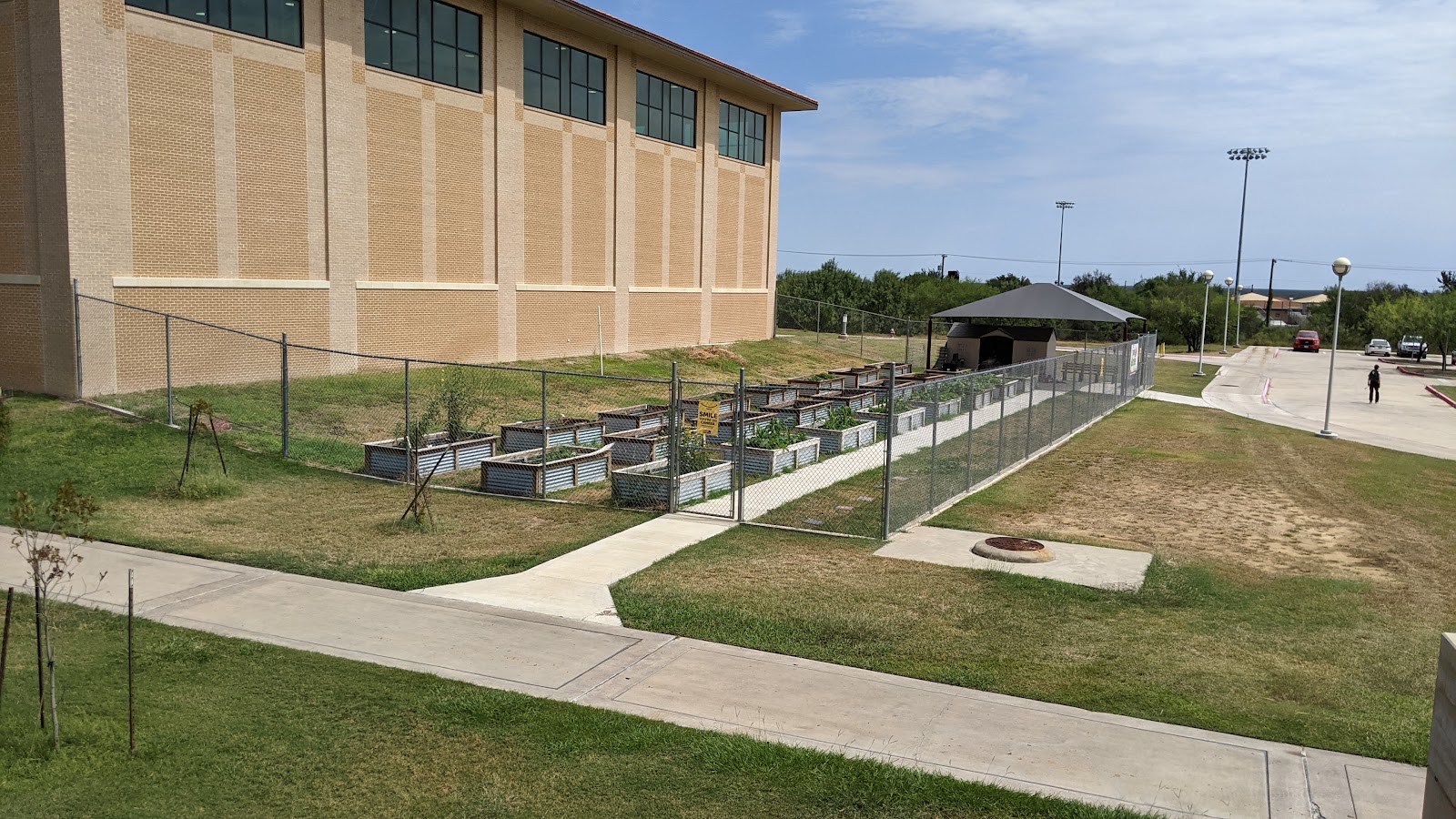 TAMIU Garden