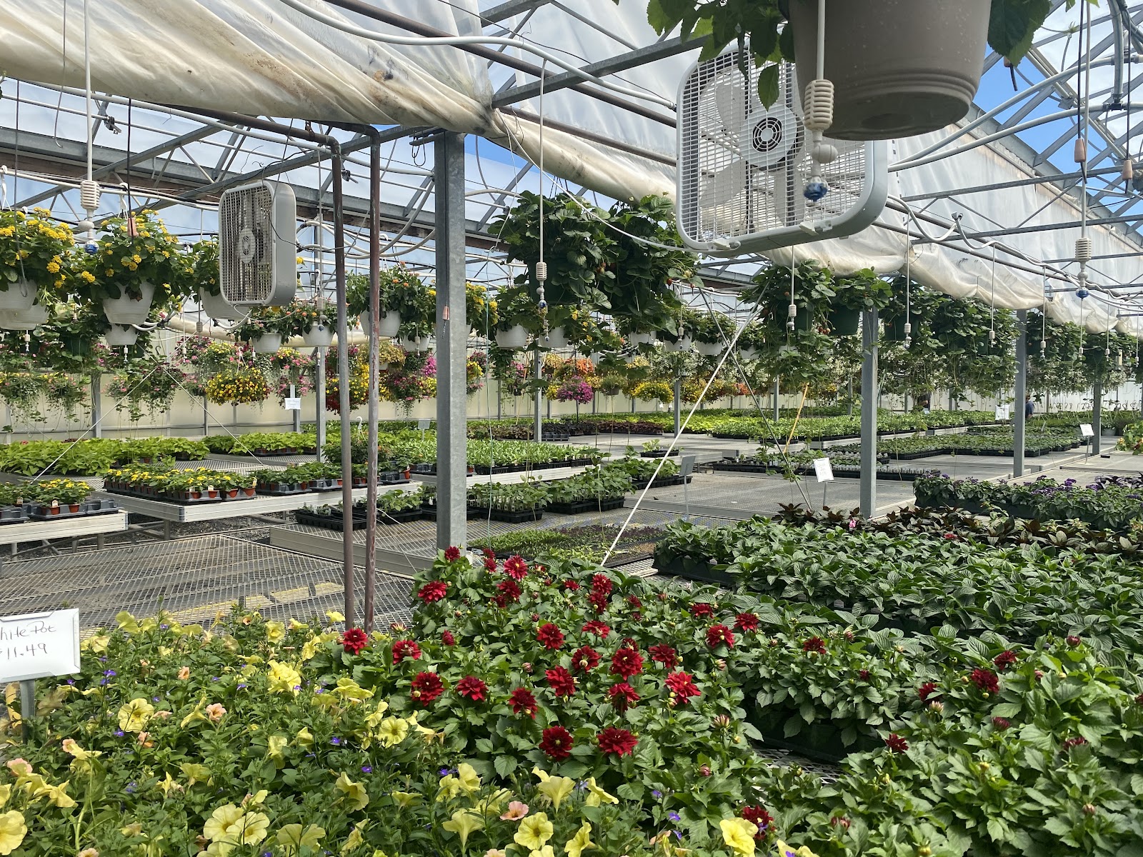 Taylor's Greenhouse
