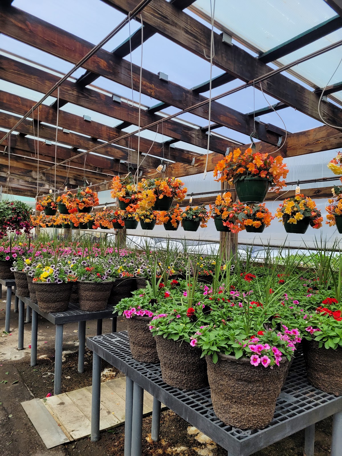 Tehan Greenhouses, Inc.