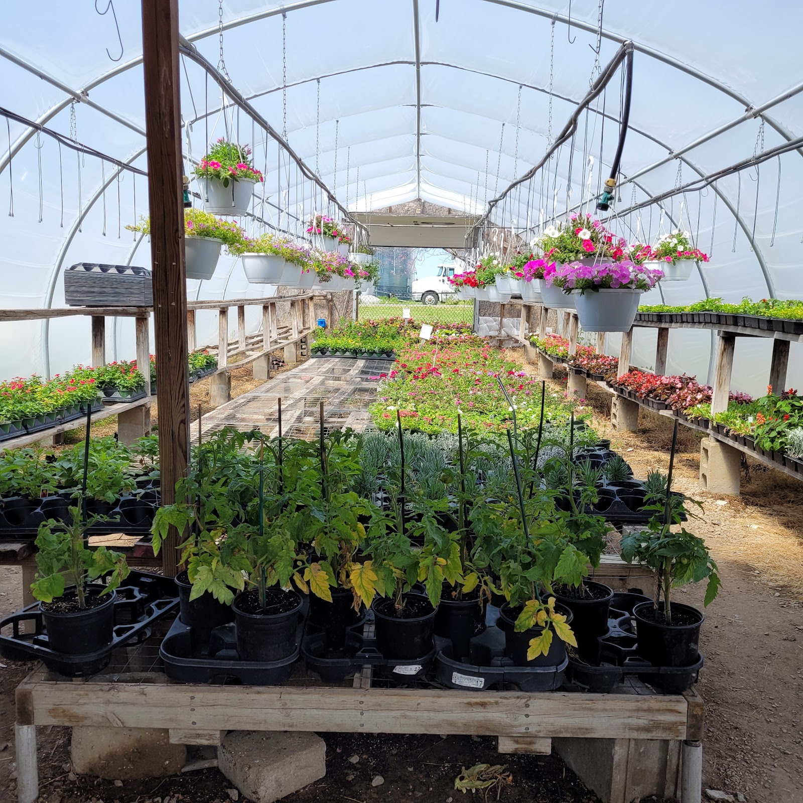 Teifke’s Greenhouse