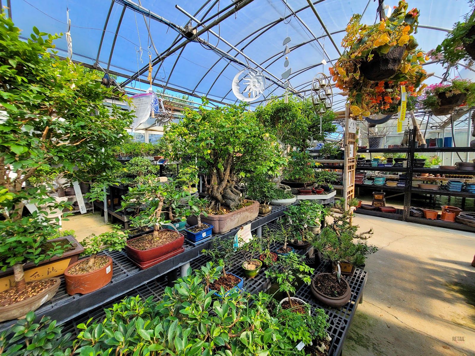 Telly's Greenhouse and Garden Center