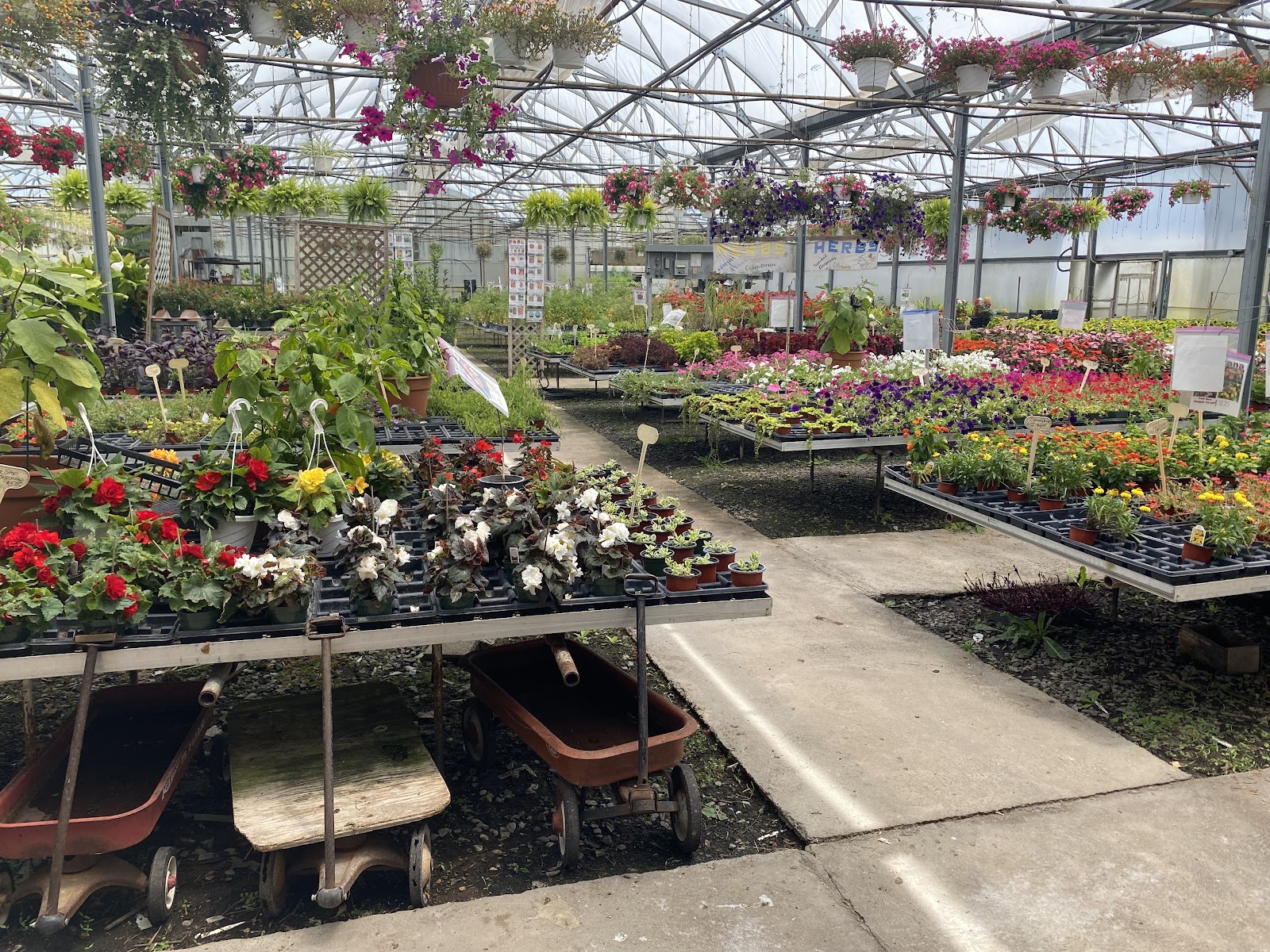 Temple Greenhouse