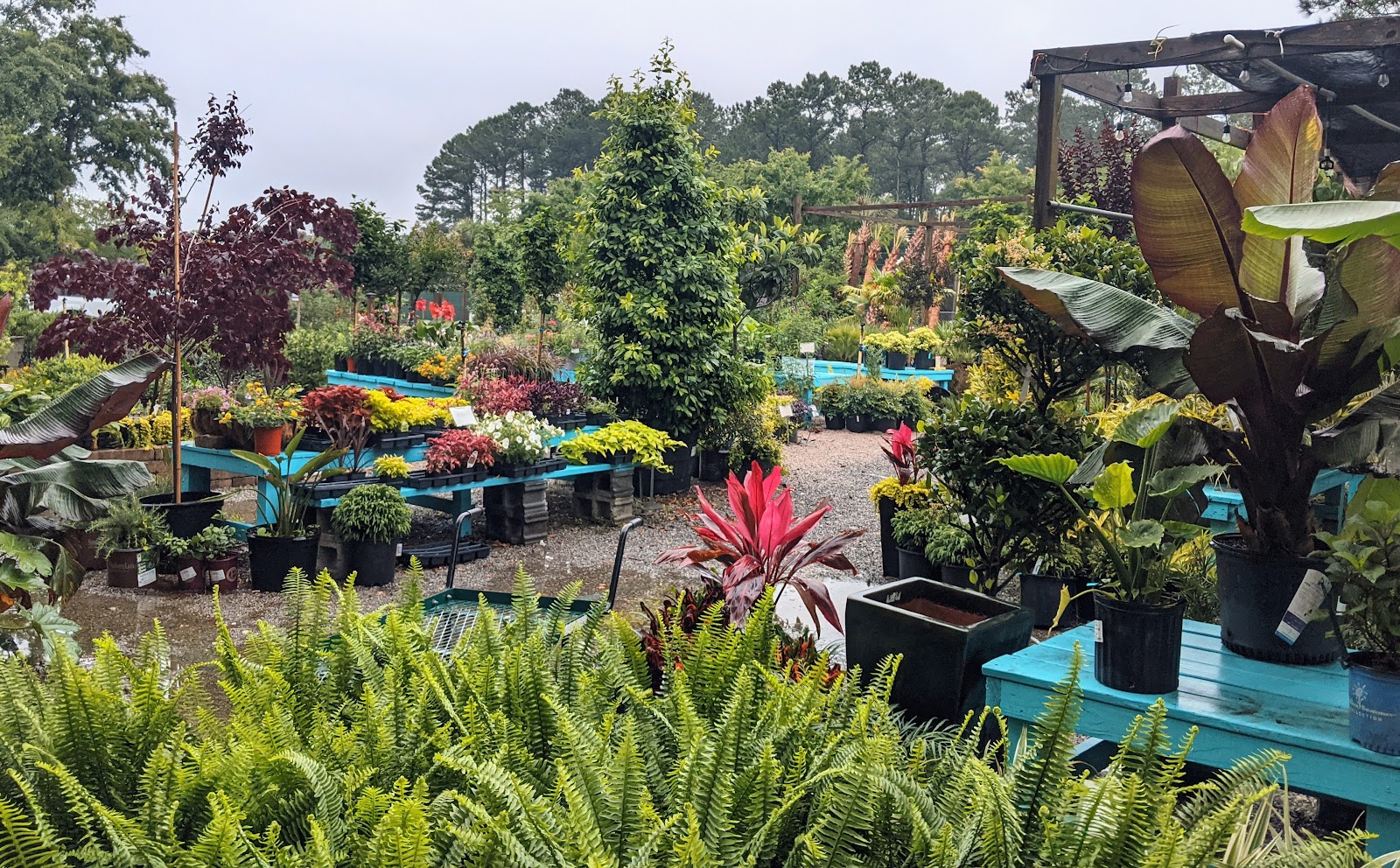 Terra Bella Garden Center