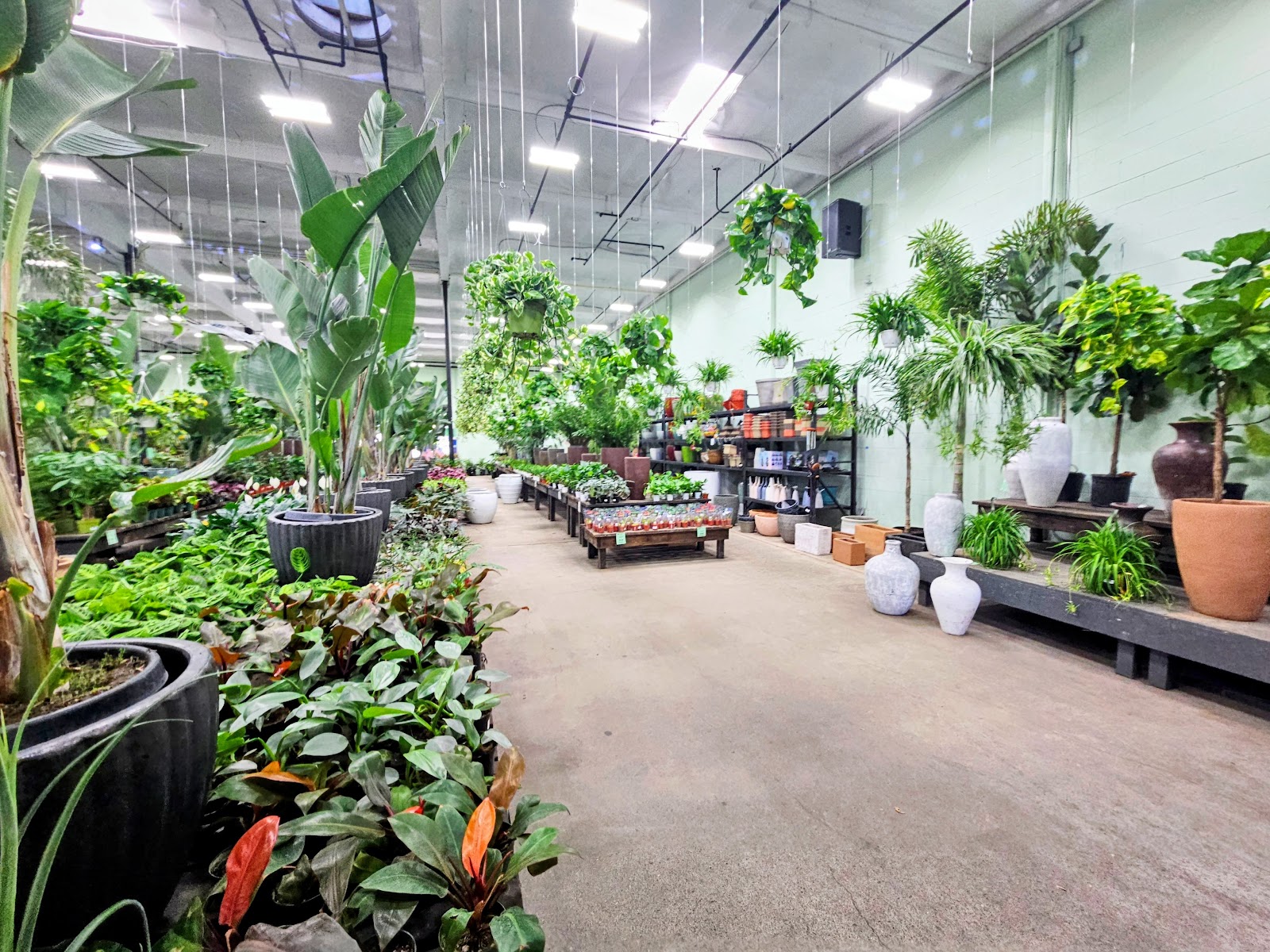 Terra Bella Nursery