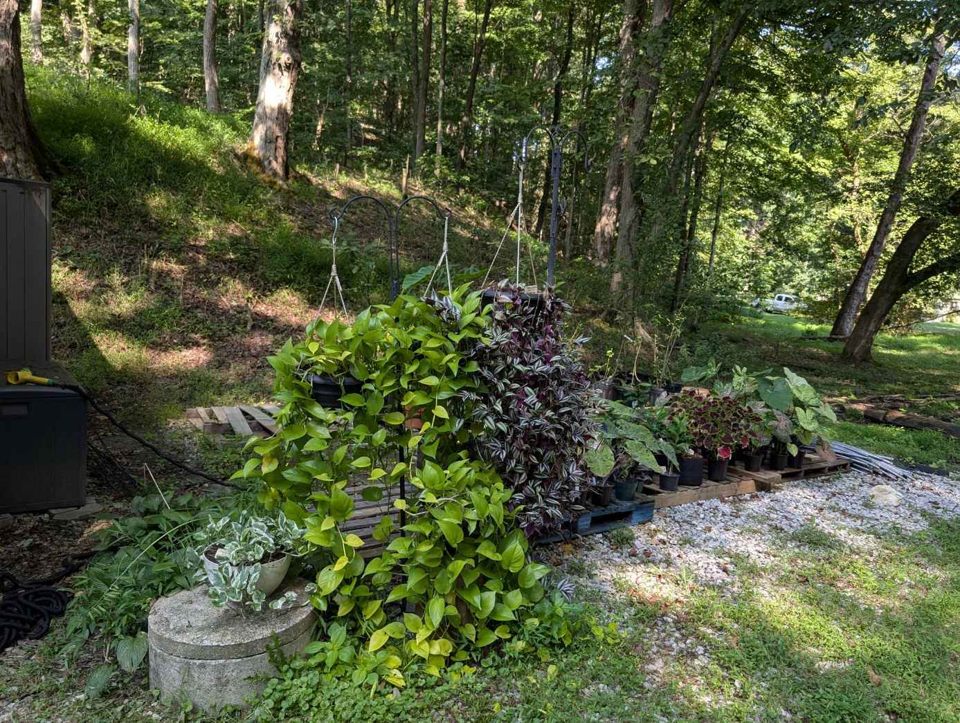 Terra Firma Flora Greenhouses LLC