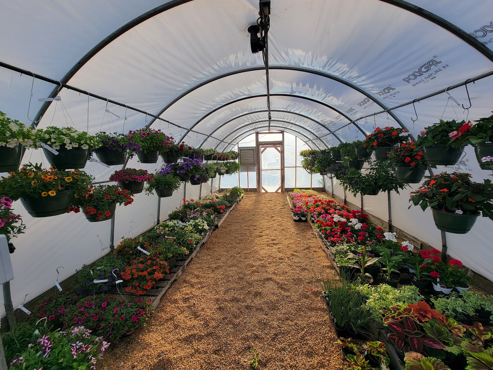 The Blooming British Garden Center