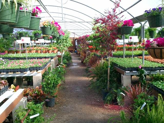 The Flower Ranch
