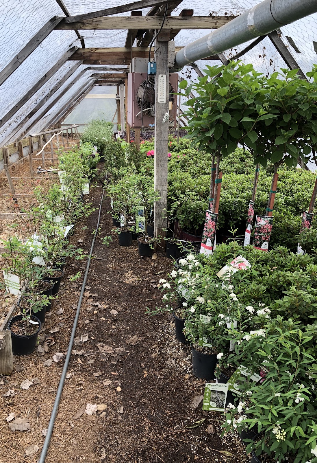 The Garden