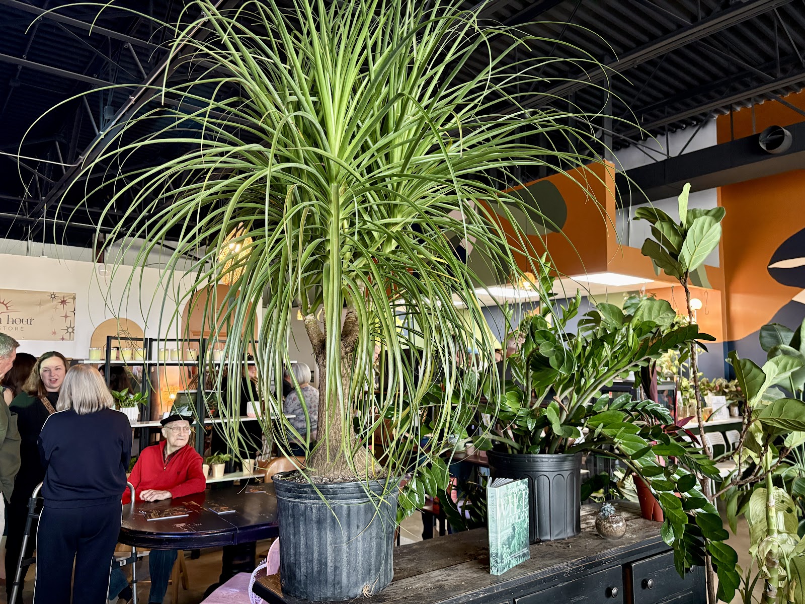 The Greenhouse