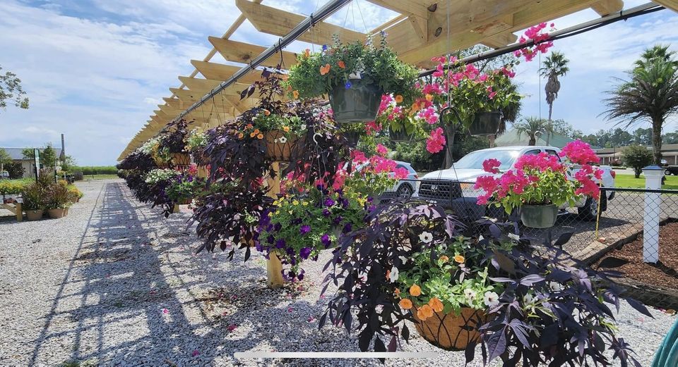 The Greenhouse Garden Center