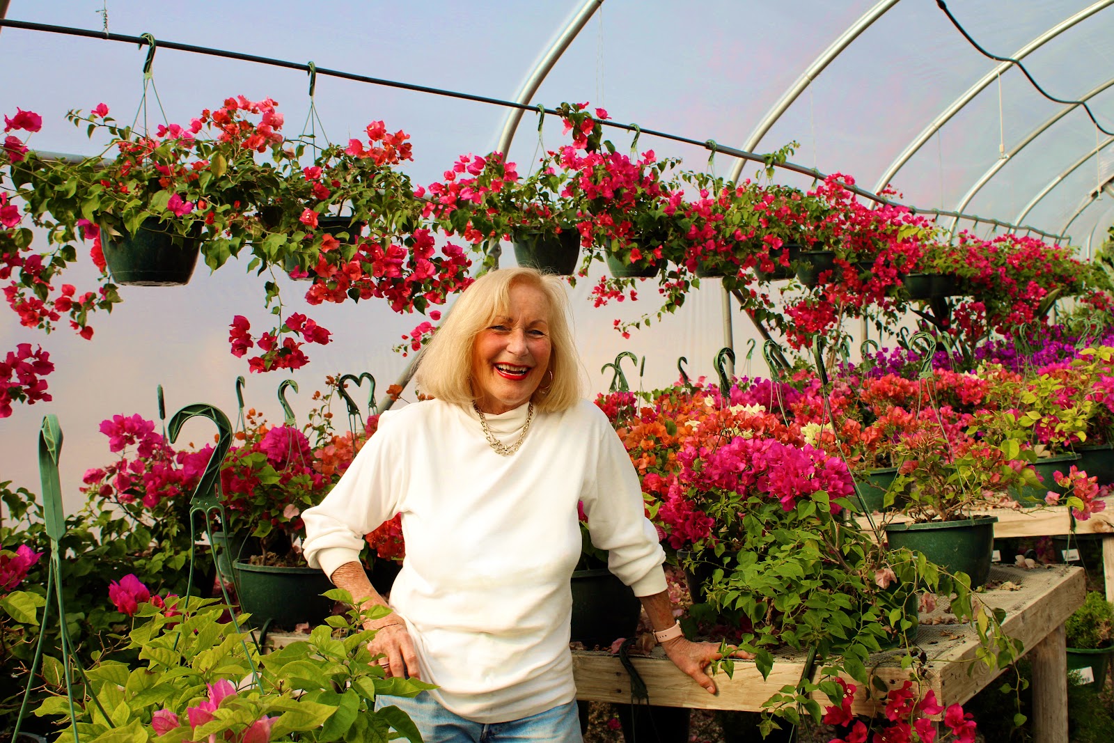 The GreenHouse Inc.