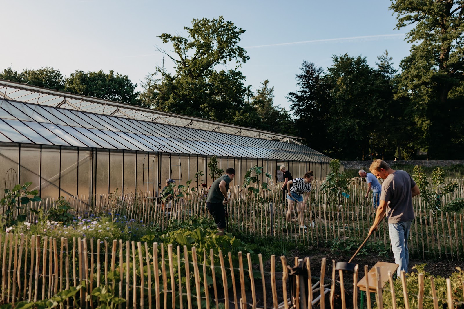 The Greenhouse