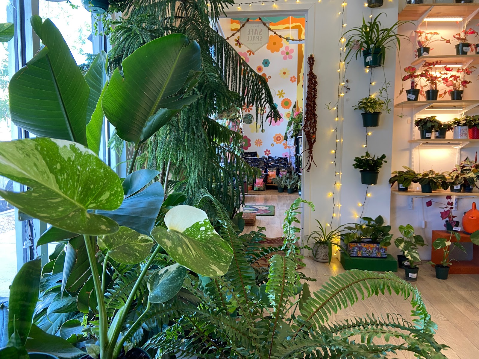 The Groovy Little Greenhouse