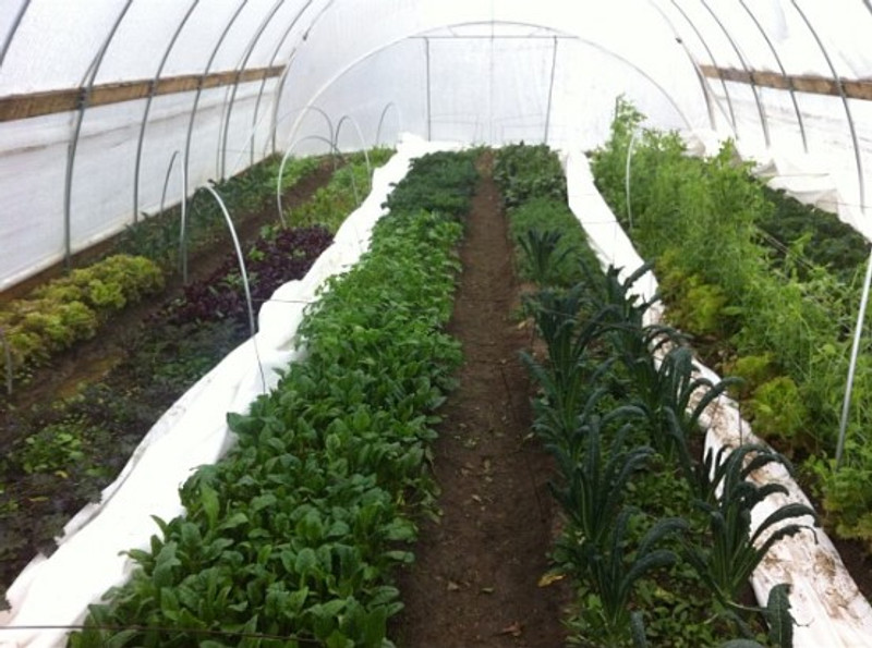The Grower's Depot