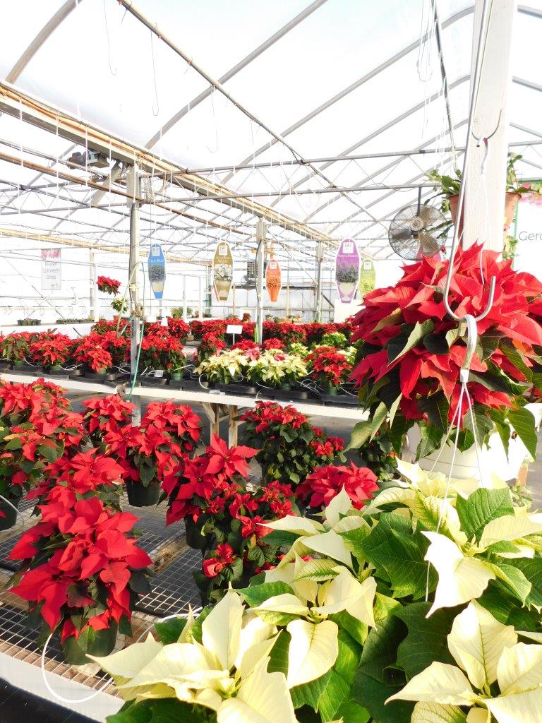 The Grower's Sanctuary