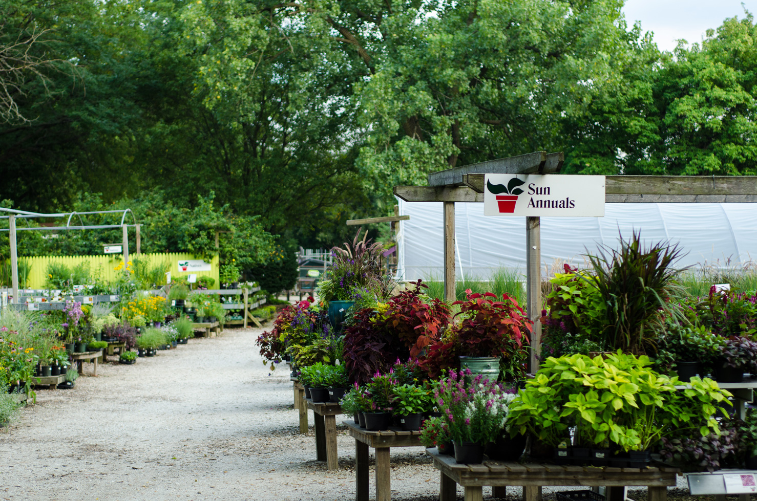 The Growing Place Garden Center