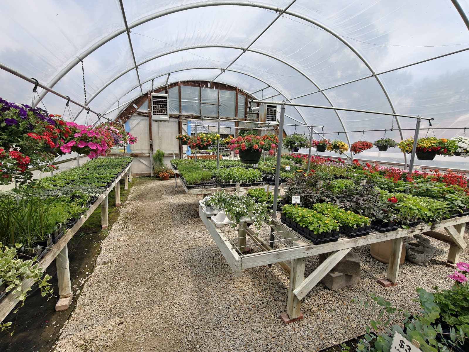 The Henrys' Plant Farm