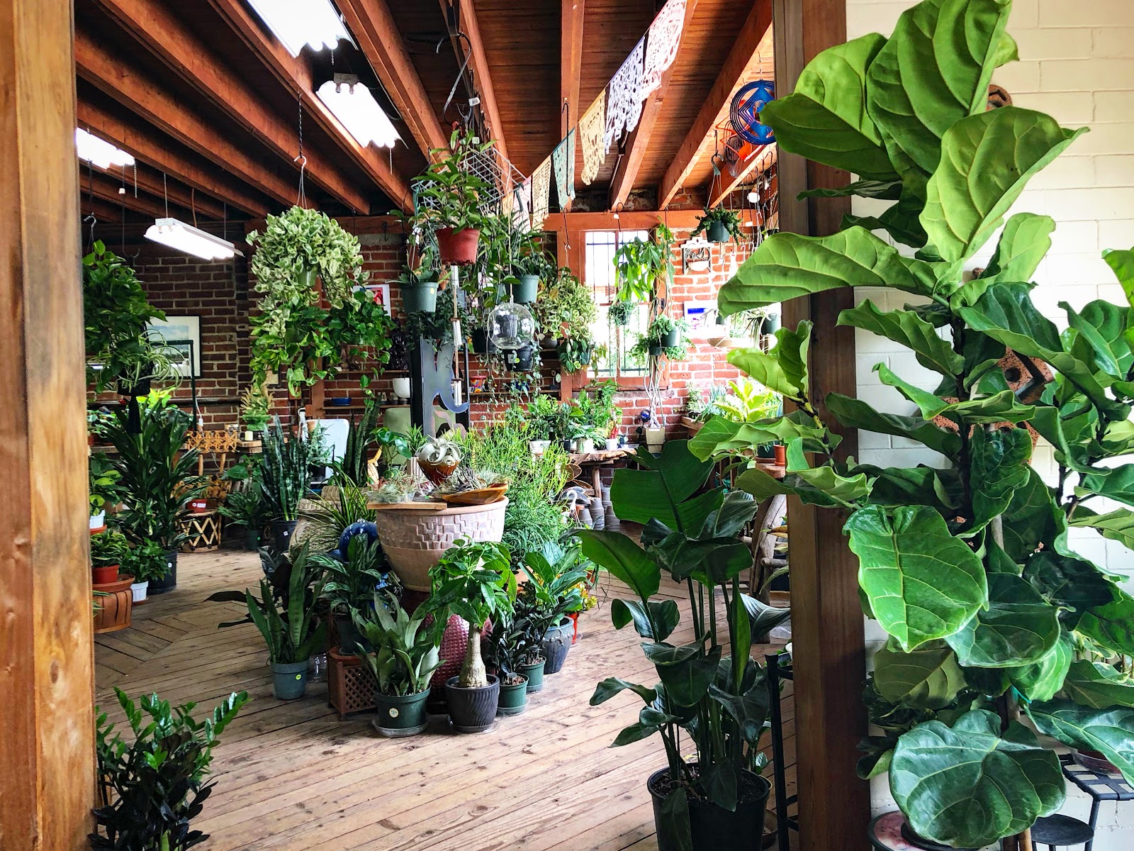 The Herbery