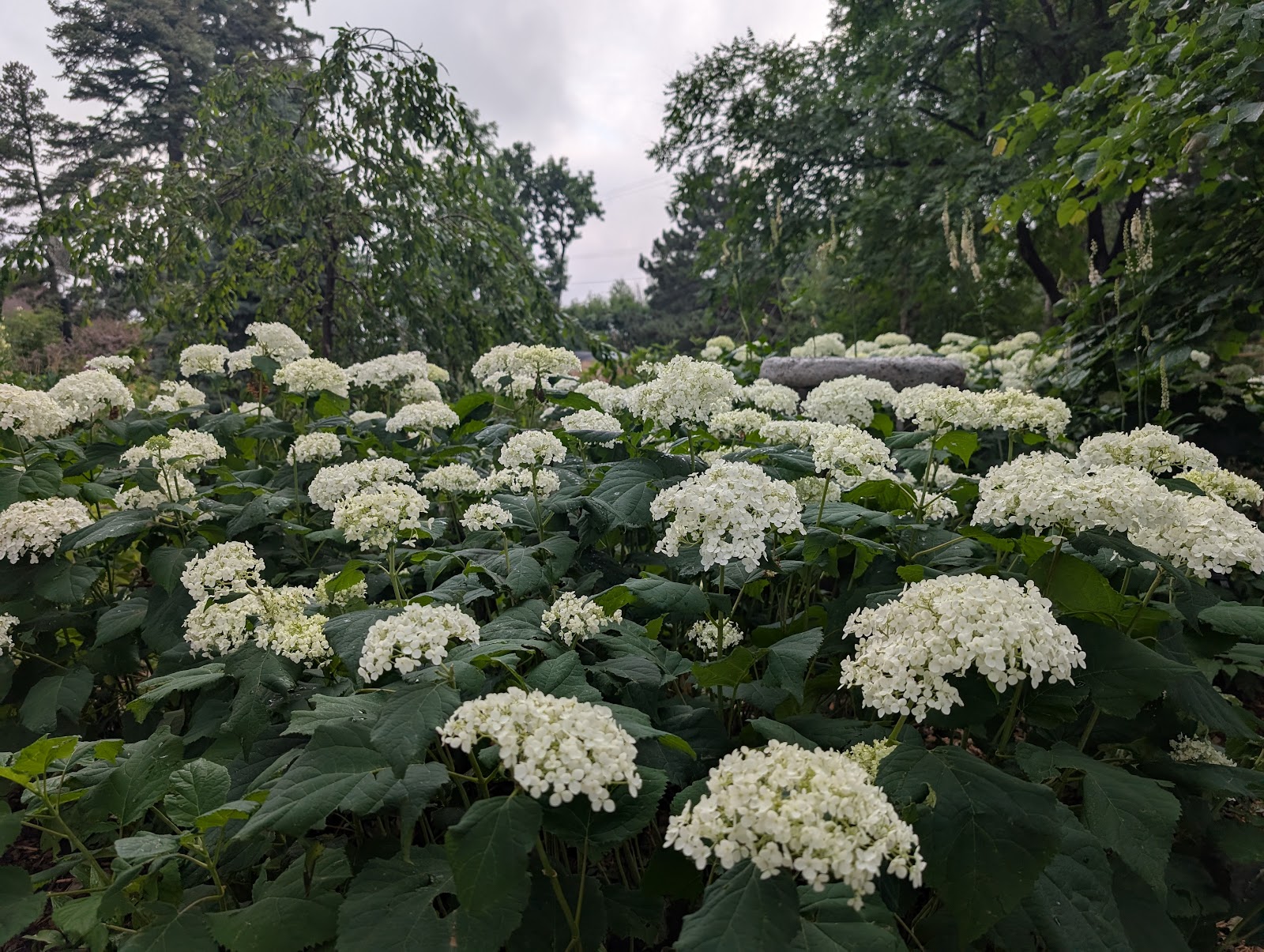 The Horticultural Art Society Gardens