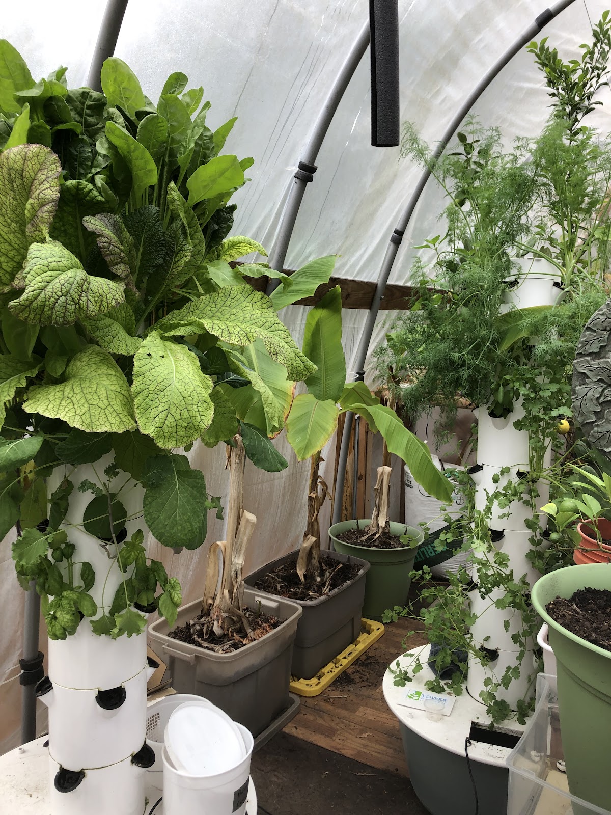 The Kinsey Greenhouse