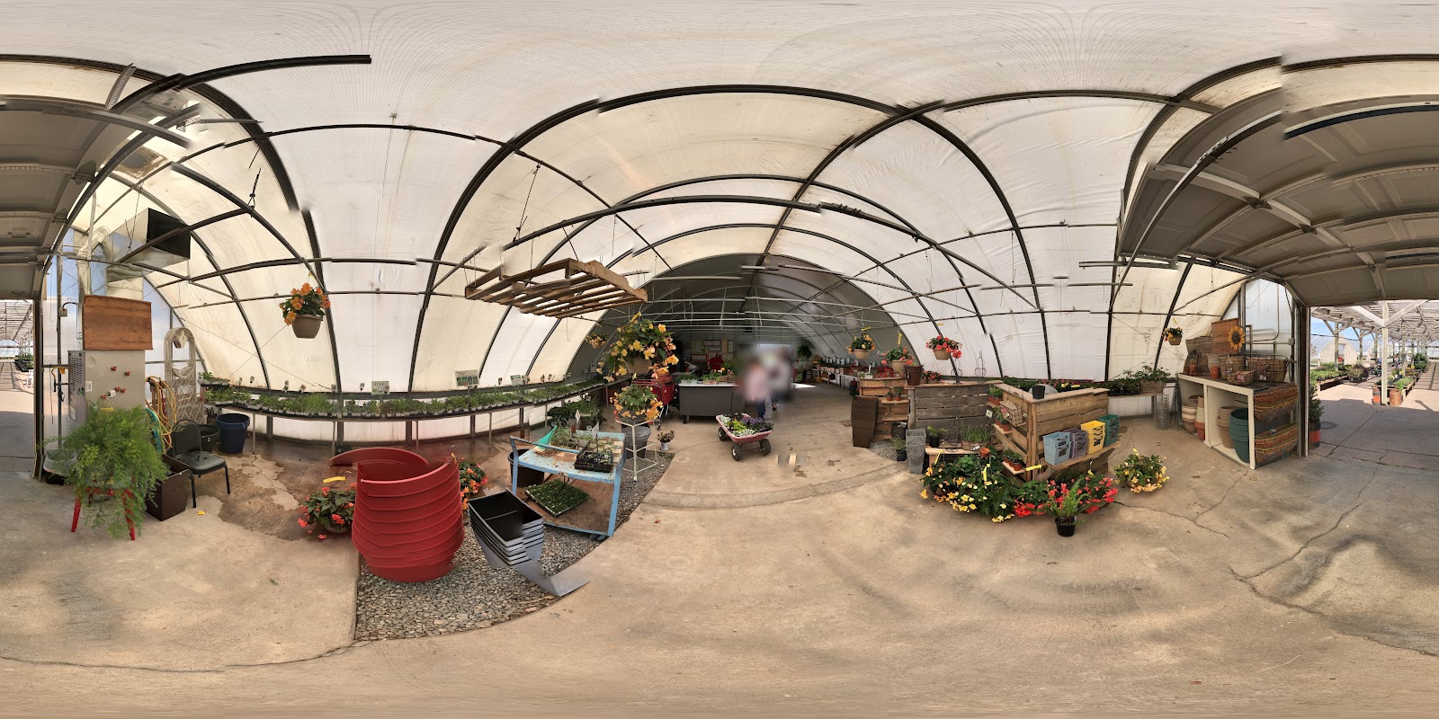 The Laughing Owl Greenhouses