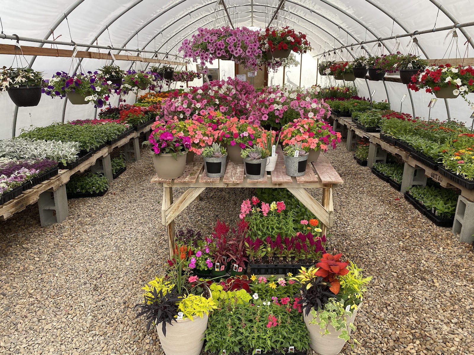 The Outdoor Garden
