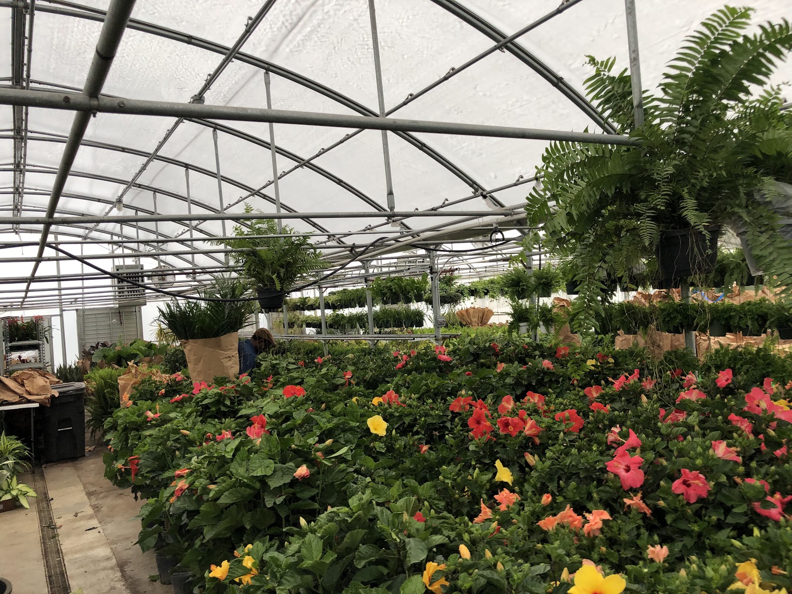 The Plant Factory, LLC.