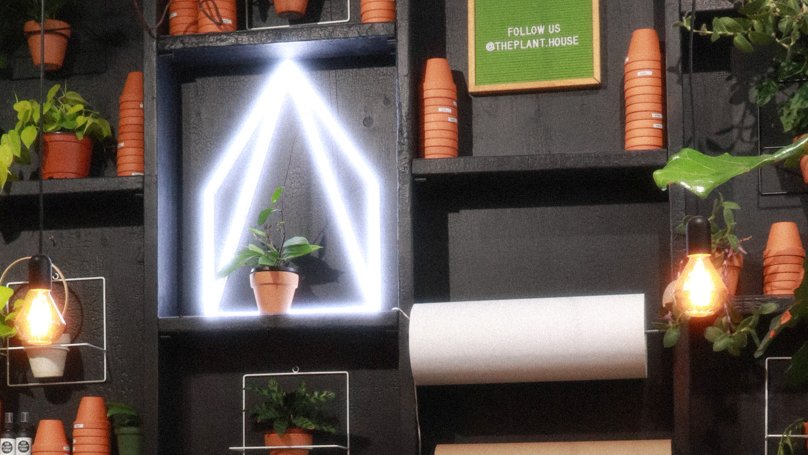 The Plant House