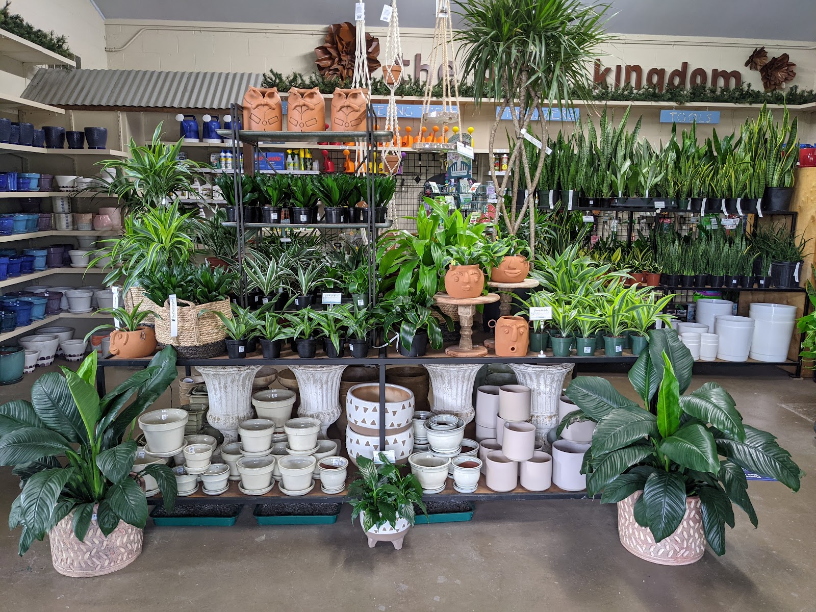 The Plant Kingdom