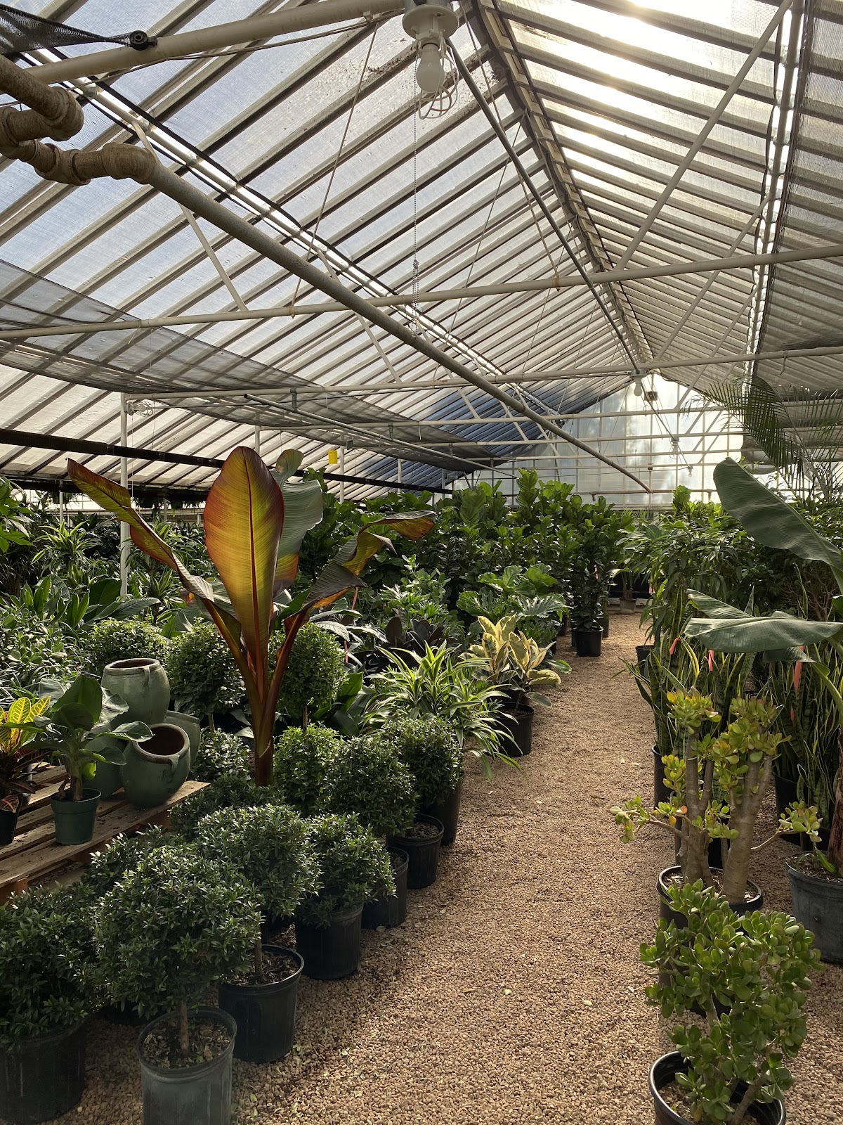 The Plant Ranch