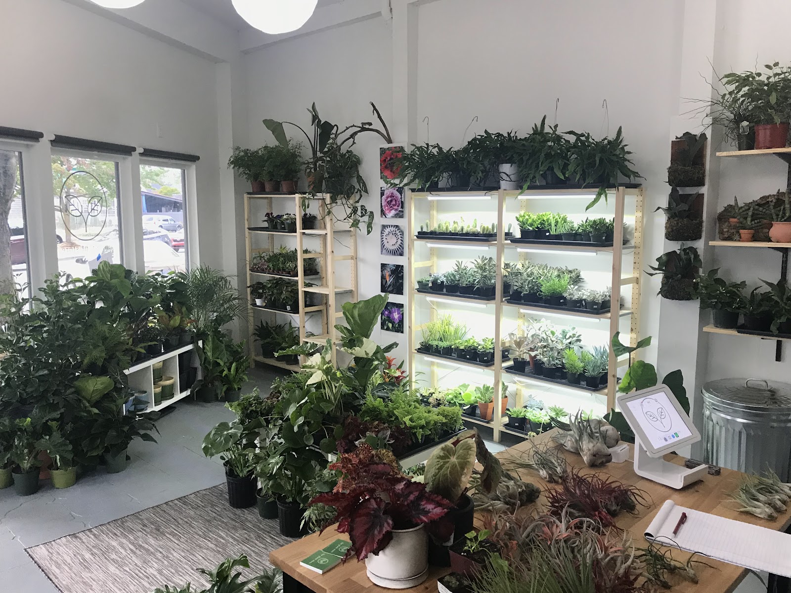 The Plant Store