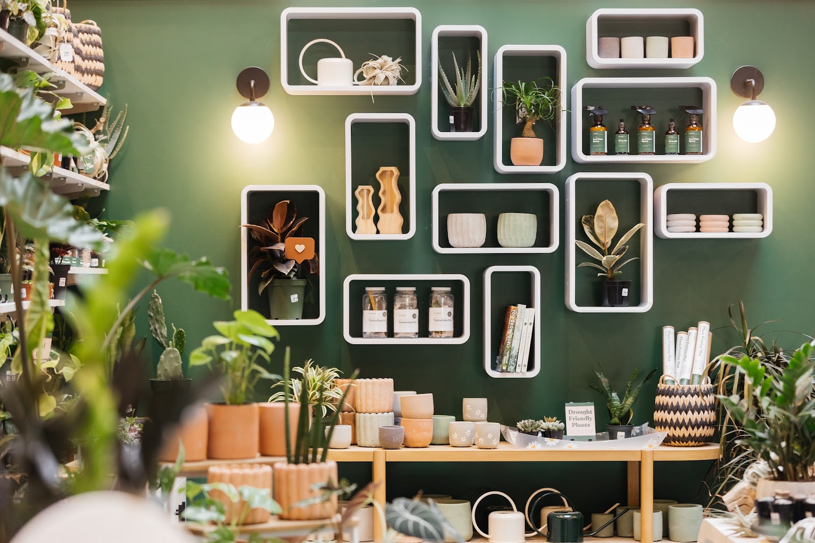 The Plant Supply at Brewhalla