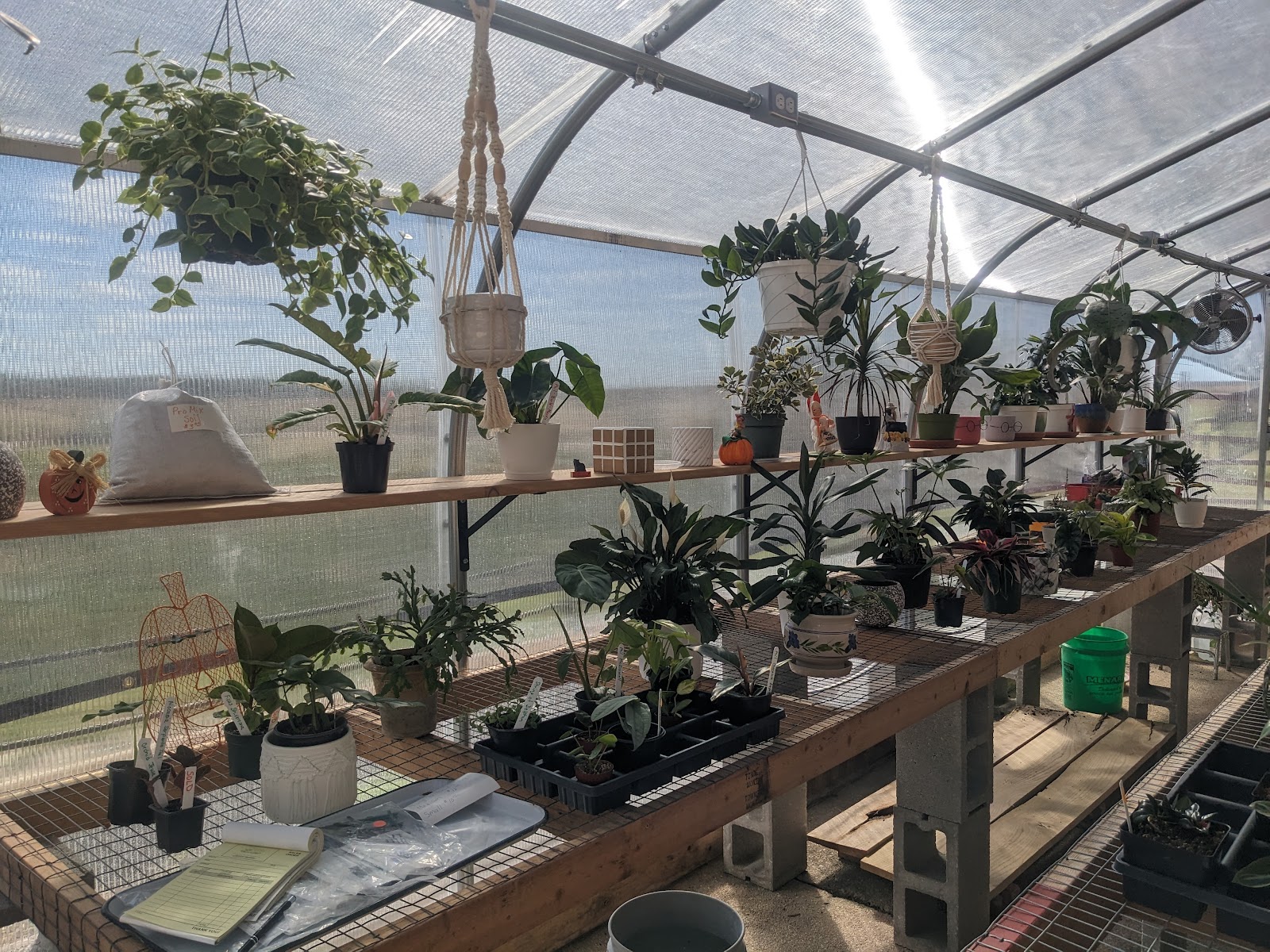 The Plant Villa