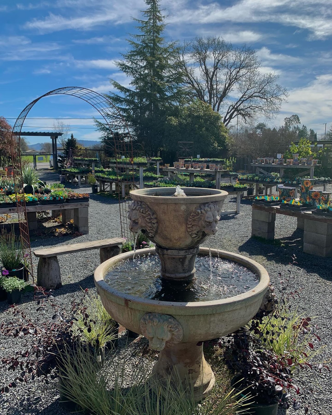 The Retail Nursery at Emerisa Gardens