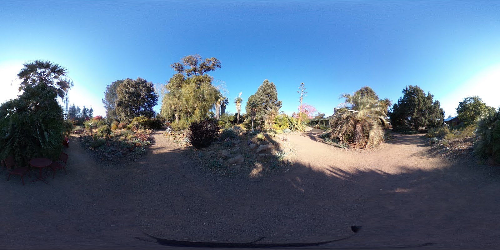 The Ruth Bancroft Garden & Nursery