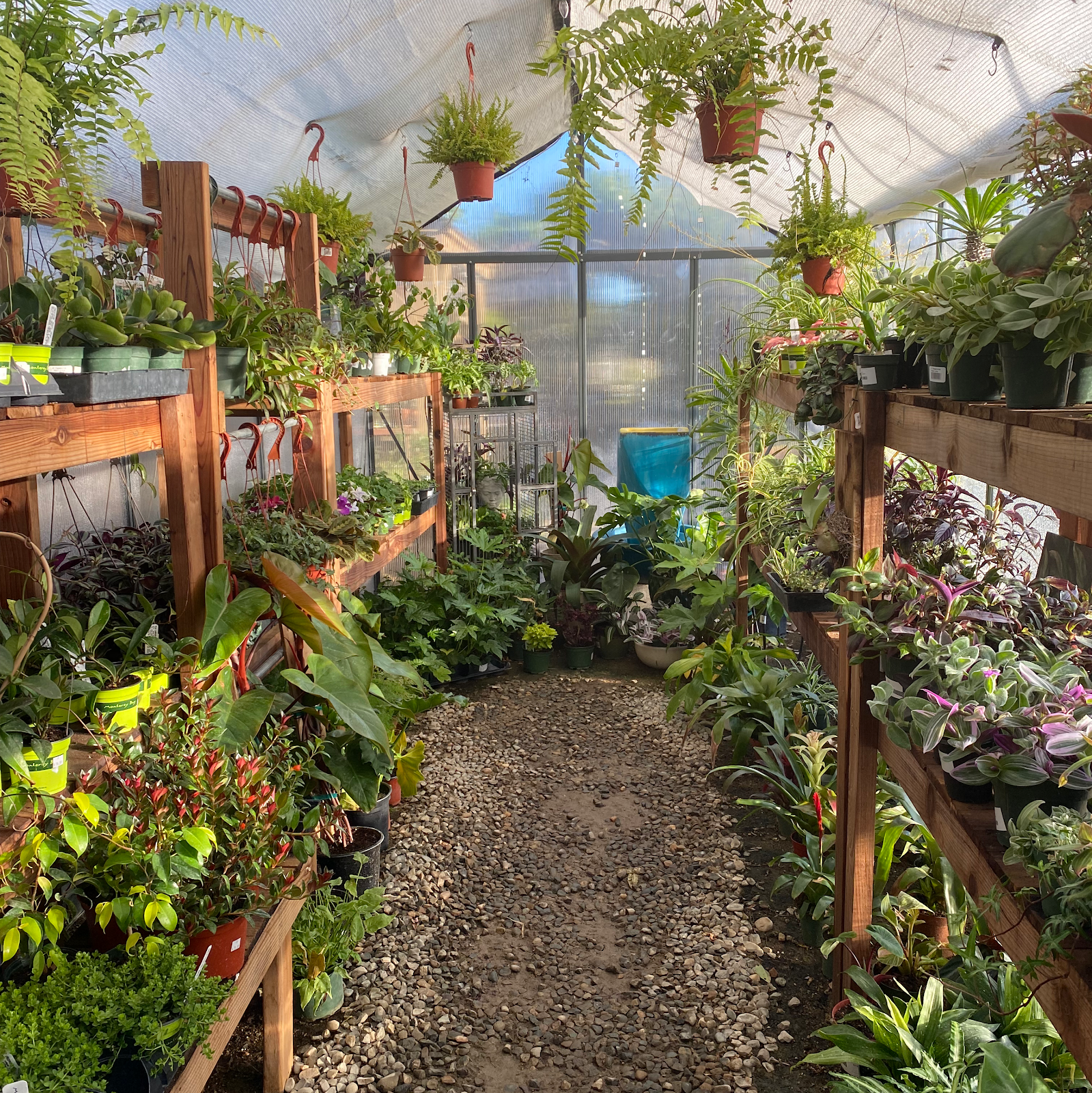 The Secret Garden