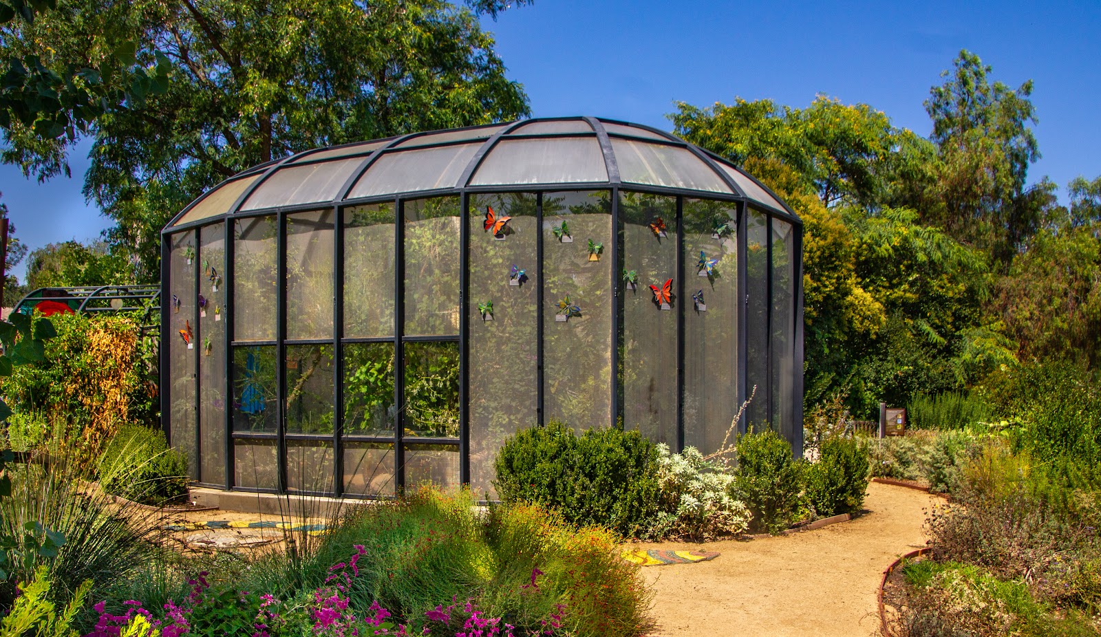 The Water Conservation Garden