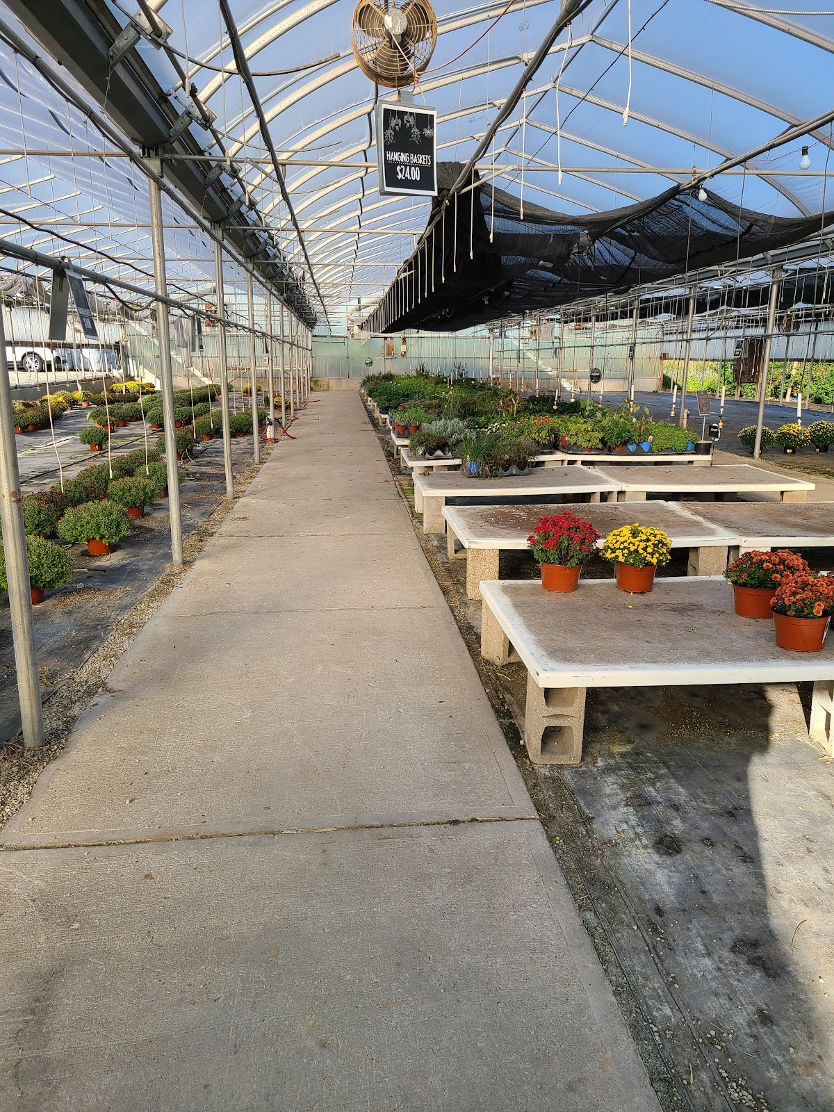 Thies Farm & Greenhouses, Inc