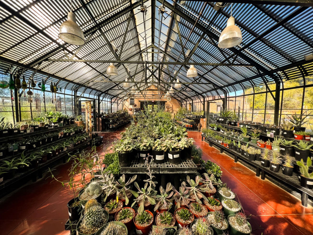 Tohono Chul Botanical Gardens, Galleries, and Bistro
