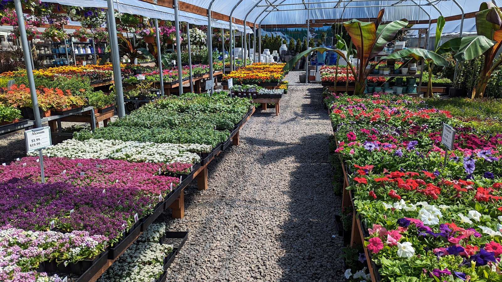 Tony's Garden Center