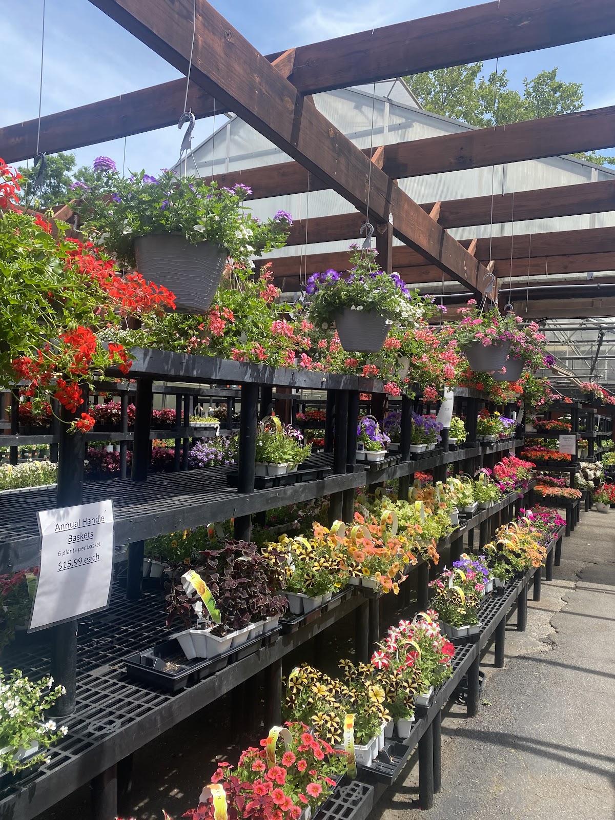Tony's Nursery Inc
