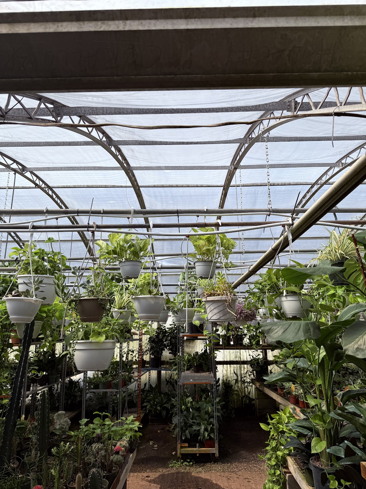 Town & Country Greenhouses Inc