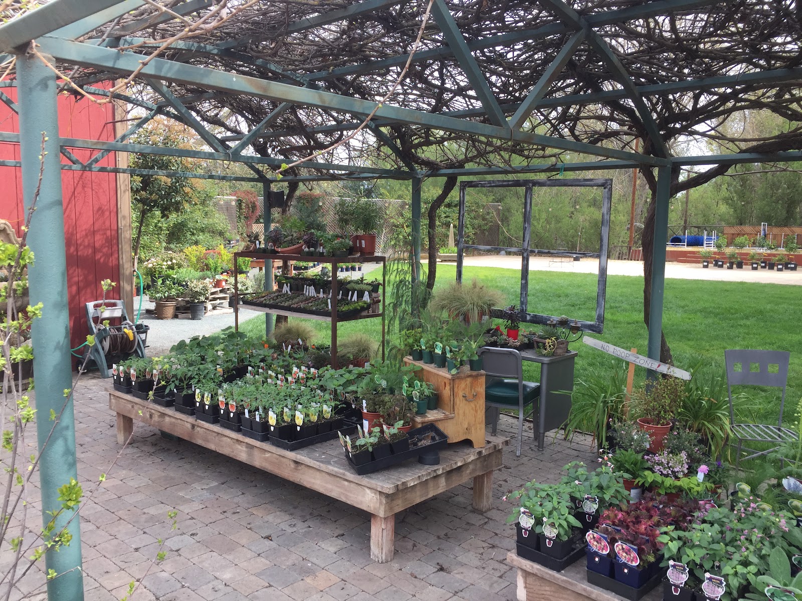 Tracy's Nursery and Gardens