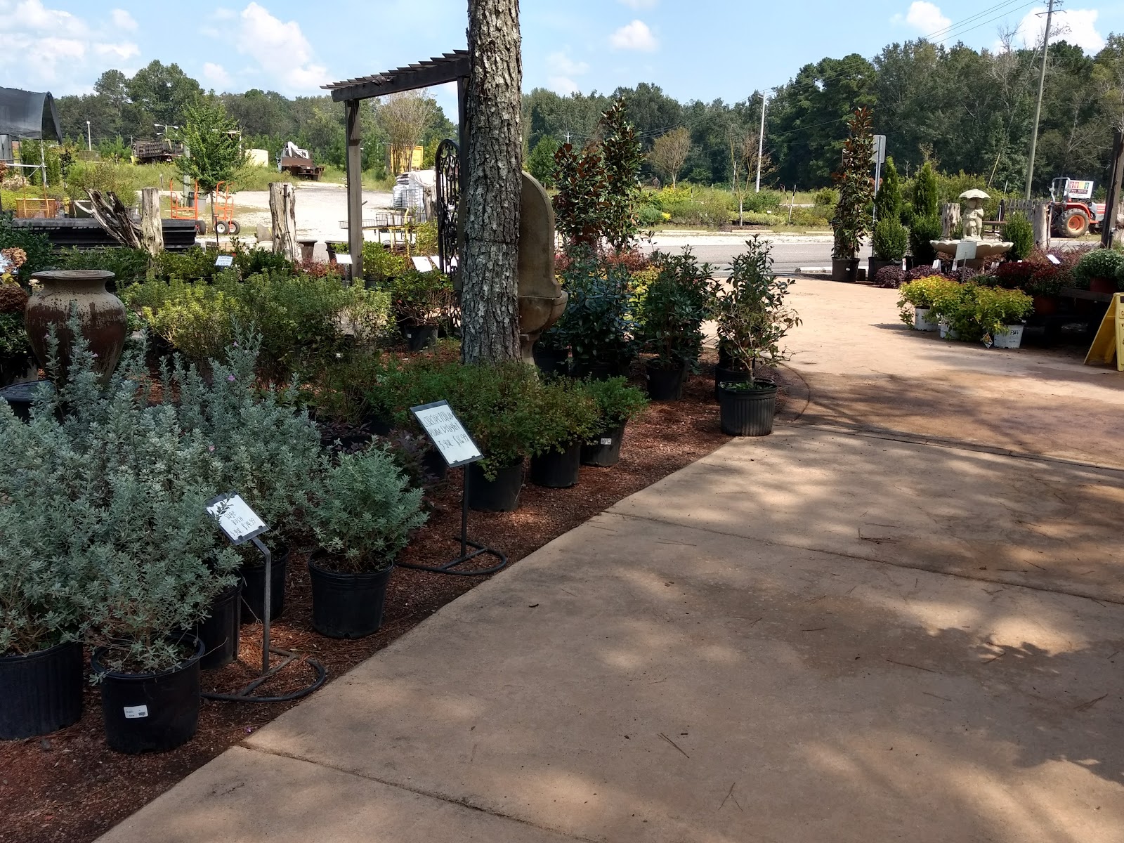 Tree House Farm & Nursery