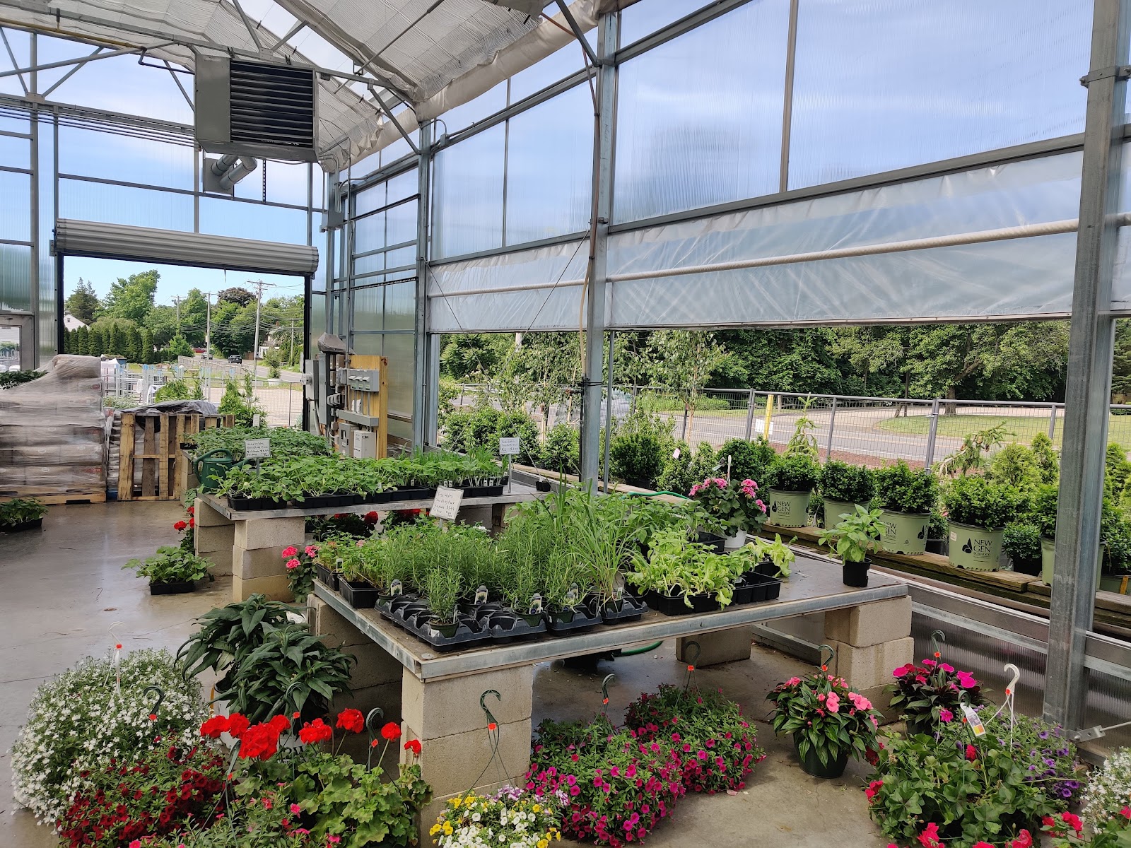 Treeland Garden Center & Nursery