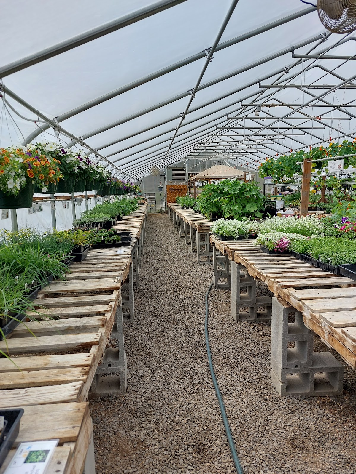 Trellis And Table Greenhouse