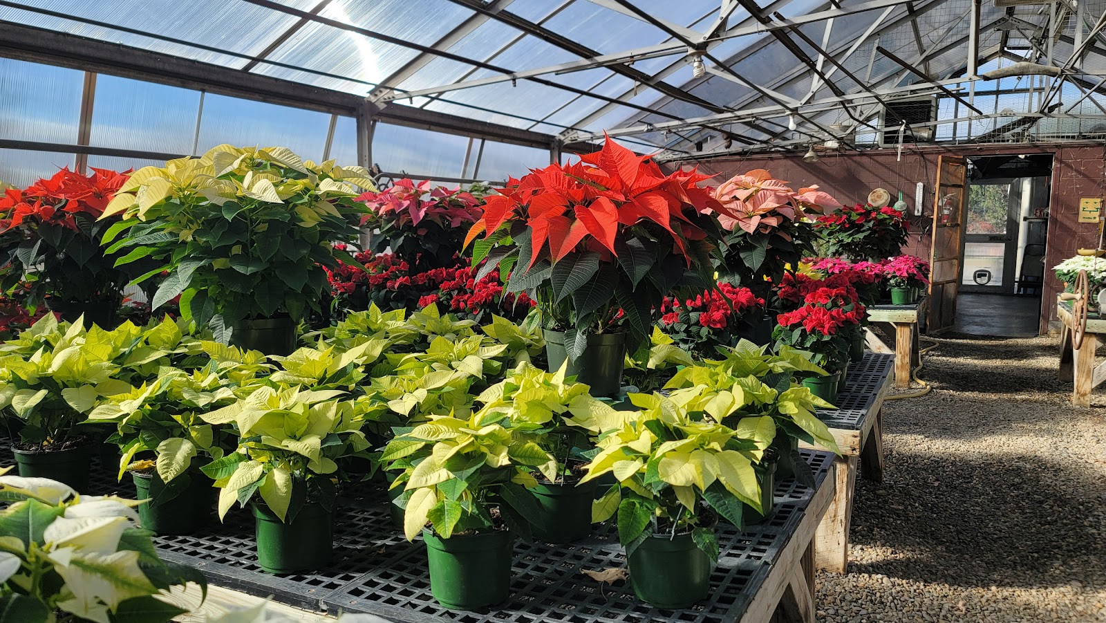 Tri-County Greenhouse