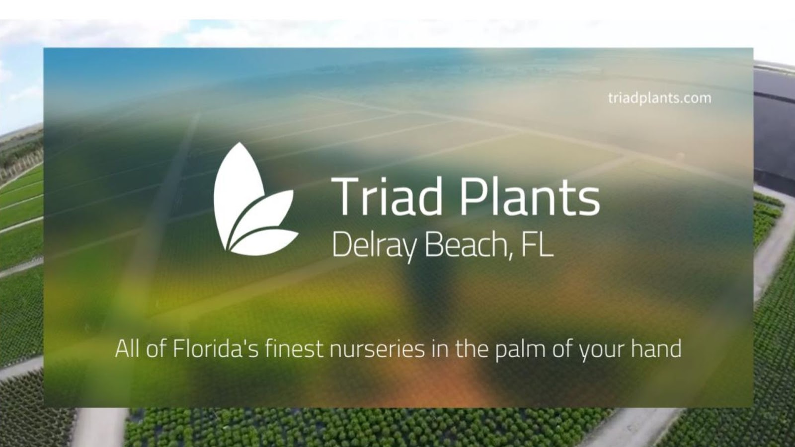 Triad Greenhouse & Plant Nursery