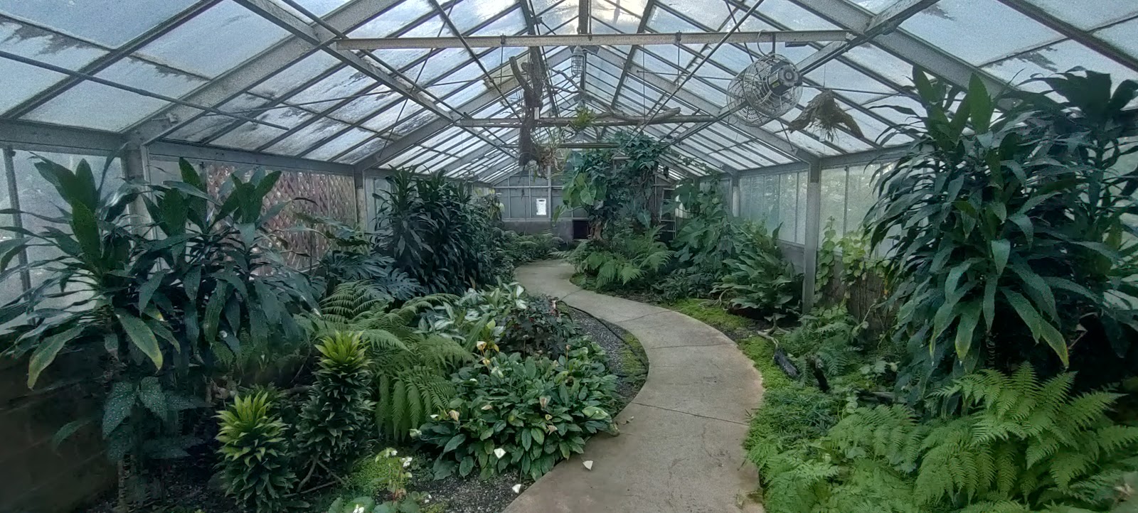 Tropical Greenhouse/Orchids
